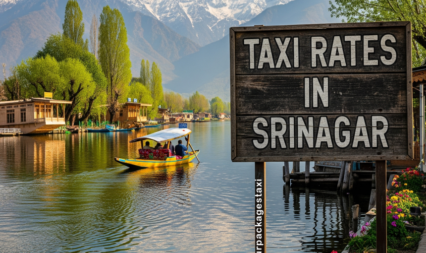 Safety First: 7 Ways to Book Taxi Services in Kashmir With Peace of Mind