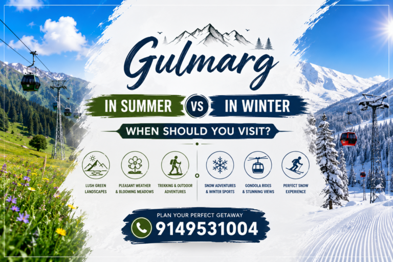 Gulmarg in Summer vs Winter: When Should You Visit?