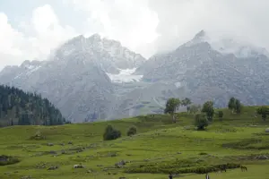 Lidder river in Betaab Valley, Pahalgam
