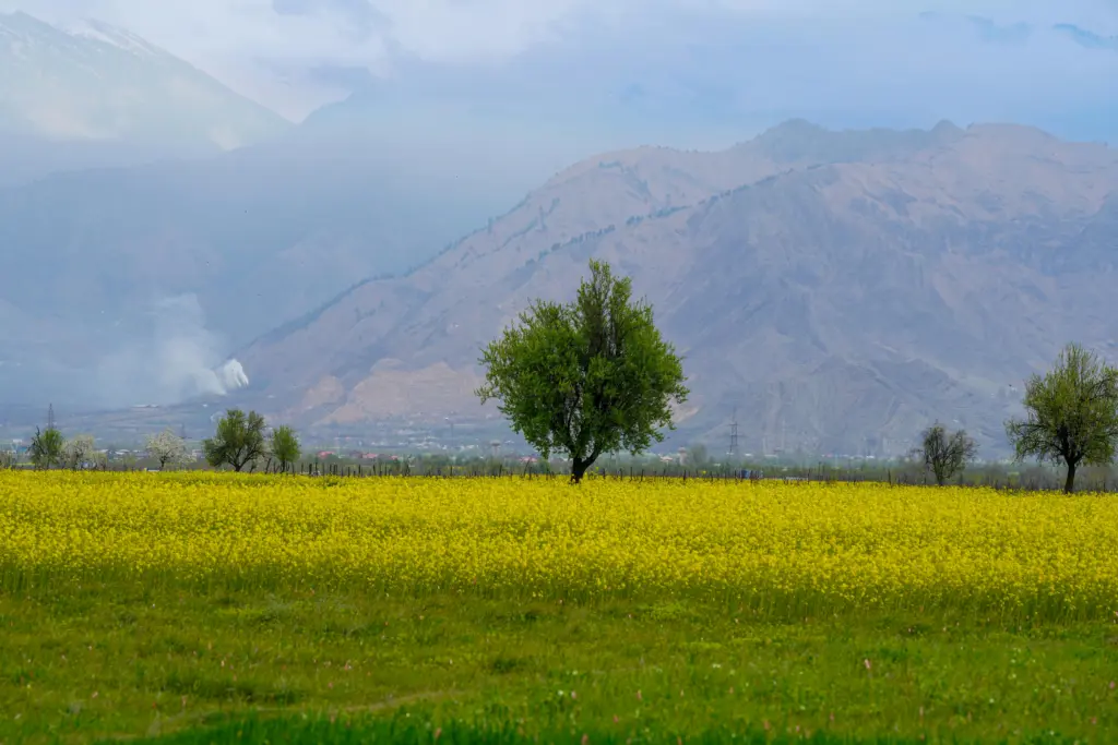 Kashmir Family Tour Package 7 Days - Kashmir Tour Packages Taxi