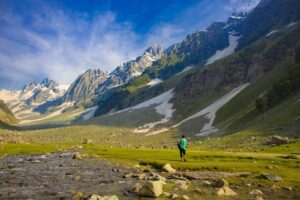 Kashmir Spring Tulip Garden Tour Package - Kashmir Tour Packages Taxi