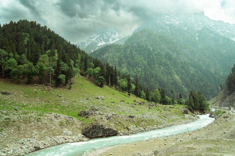 Thajiwas Glacier Trek: 7-Hour Adventure From Sonmarg