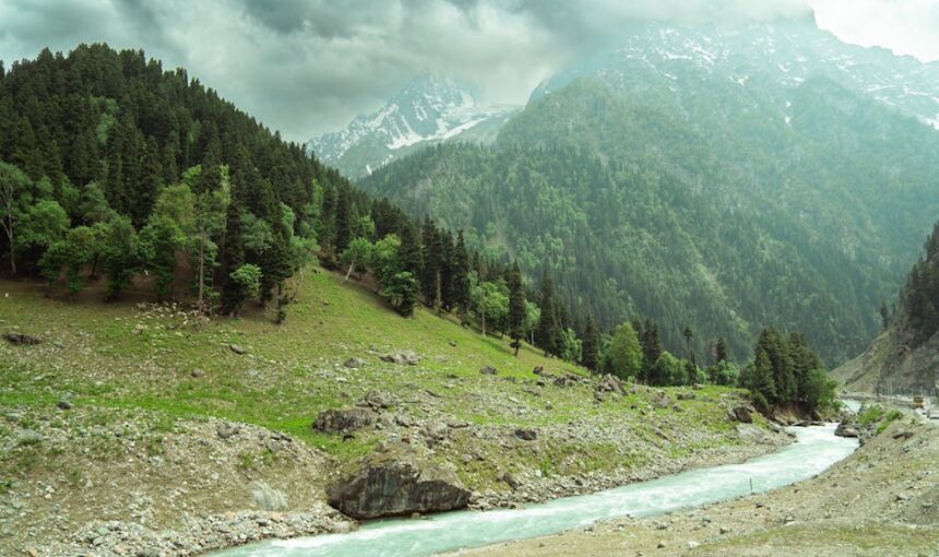 Thajiwas Glacier Trek: 7-Hour Adventure From Sonmarg 12 Thajiwas Glacier Trek: 7-Hour Adventure From Sonmarg