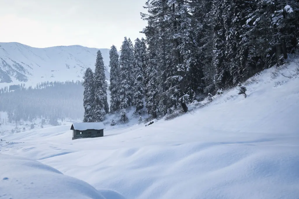 Weekend Srinagar Gulmarg Tour Package - Kashmir Tour Packages Taxi