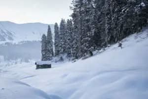2026 Weekend Srinagar Gulmarg Tour Package 3 Days