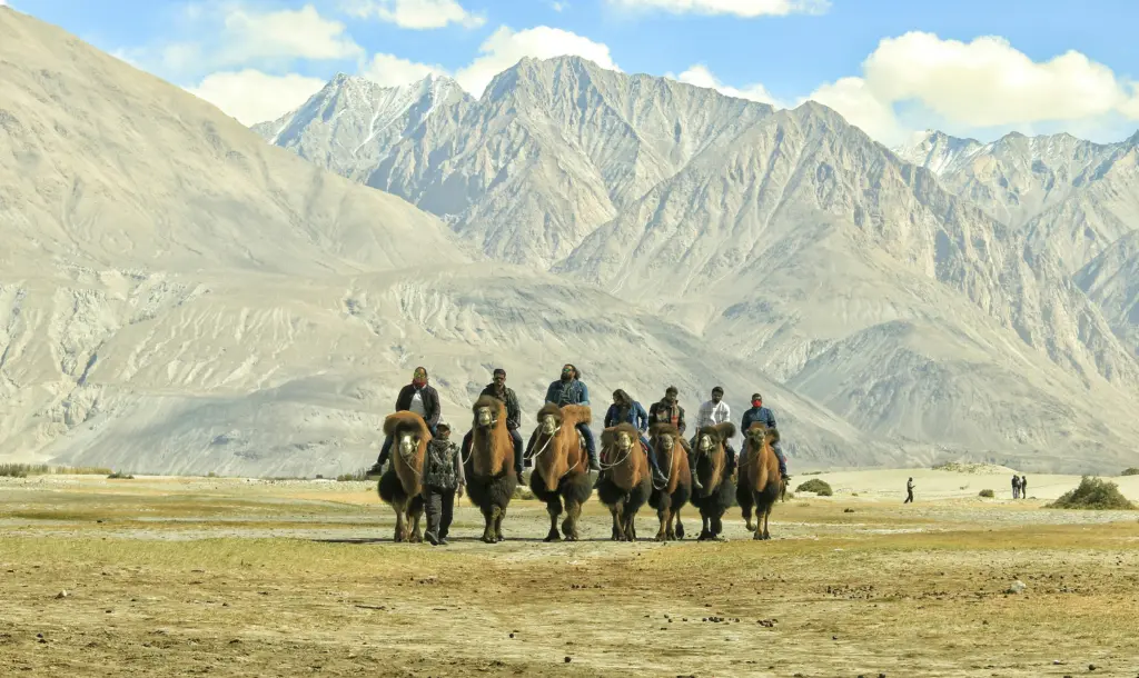 ladakh adventure tour package 7 days Royal Enfield ride to Pangong Lake and Khardung La
