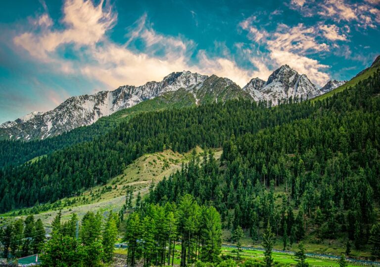 Dachigam National Park Guided Tour – Best 5 Wildlife Spots