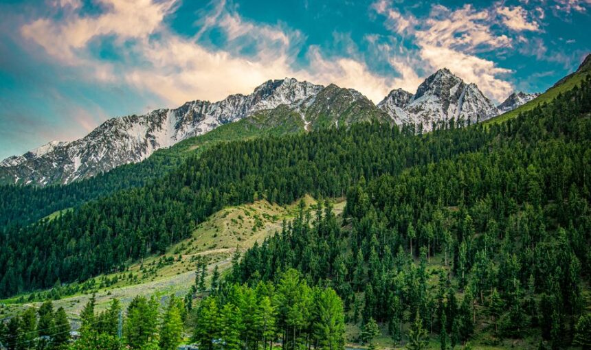Dachigam National Park Guided Tour – Best 5 Wildlife Spots 1 Dachigam National Park Guided Tour – Best 5 Wildlife Spots