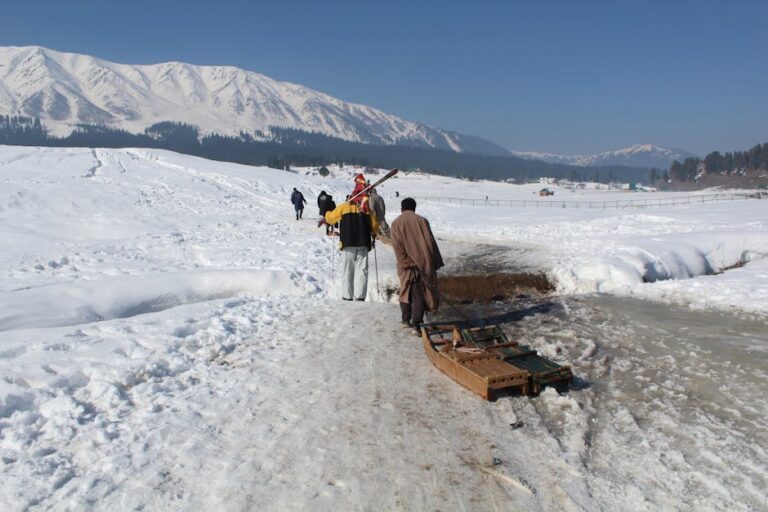 Gulmarg Sledge Ride: 7 Epic Snow Adventures You Must Try