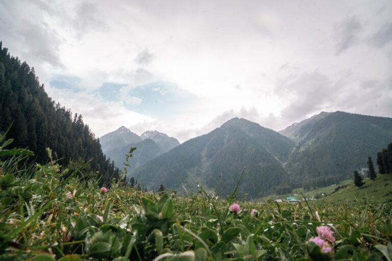Pahalgam Sightseeing Tour: 7 Must-Visit Stunning Spots