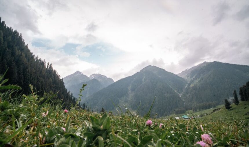 Pahalgam Sightseeing Tour: 7 Must-Visit Stunning Spots 23 Pahalgam Sightseeing Tour: 7 Must-Visit Stunning Spots