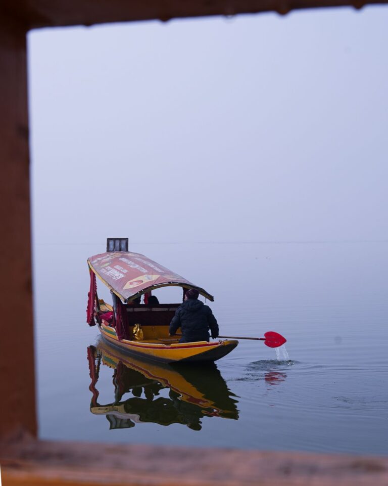 Best Shikara Ride In Dal Lake Options