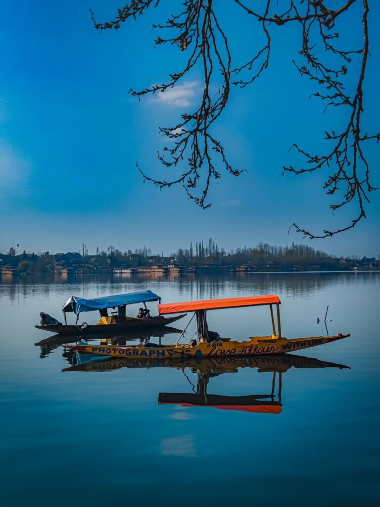 Shikara Ride Dal Lake