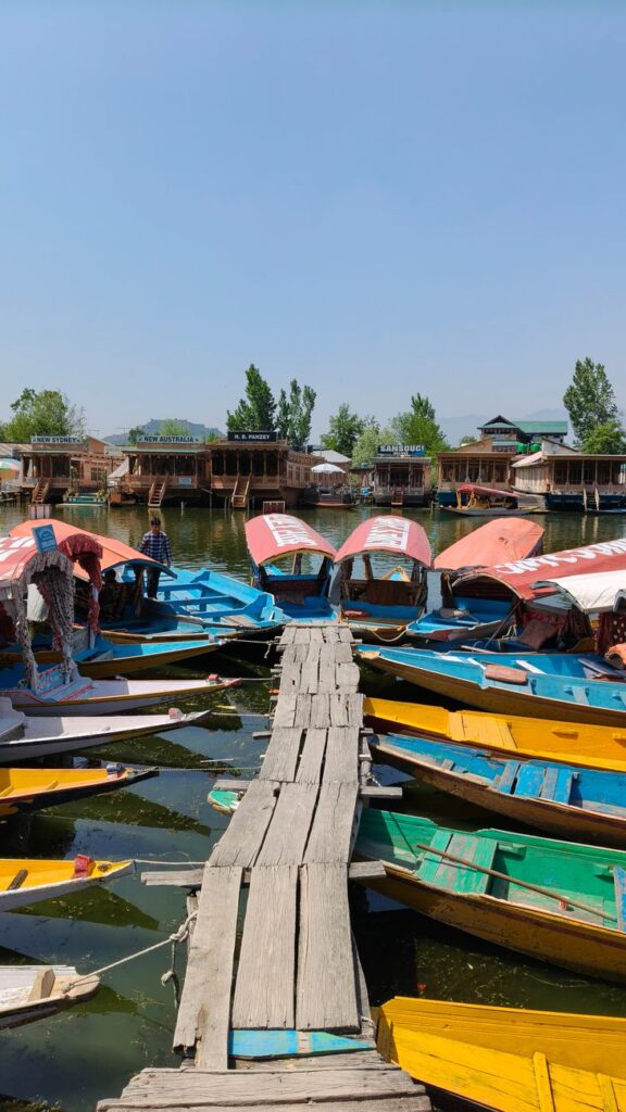 Shikara Ride Dal Lake