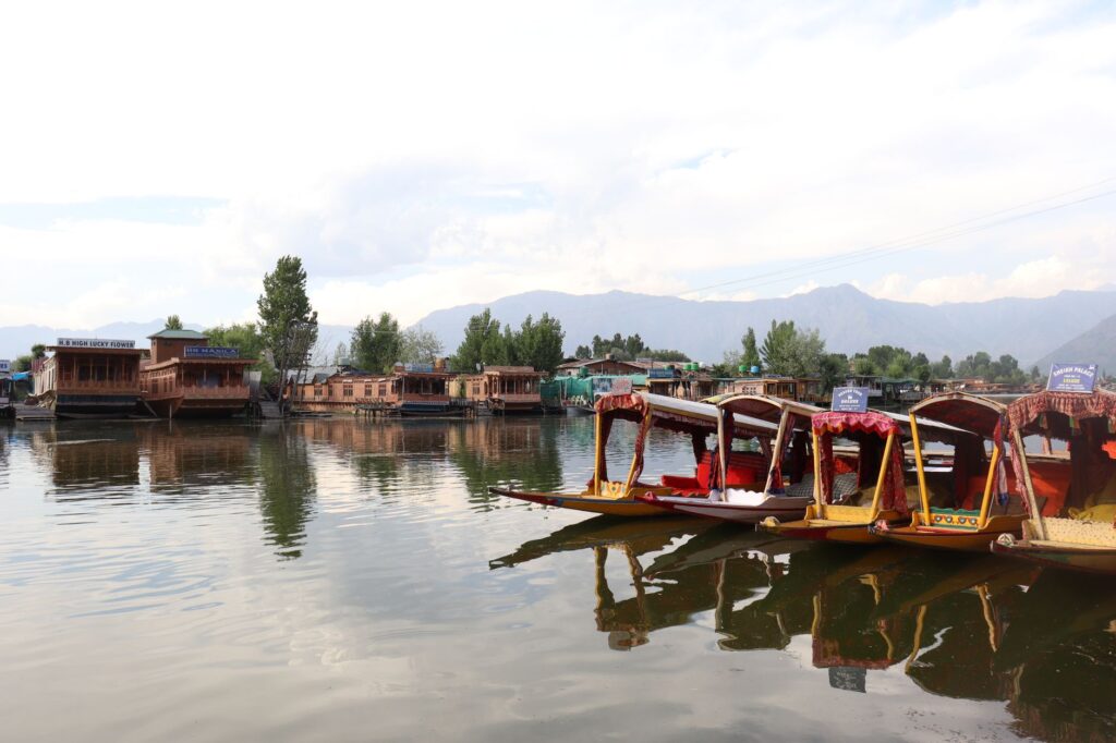 Shikara Ride Dal Lake
