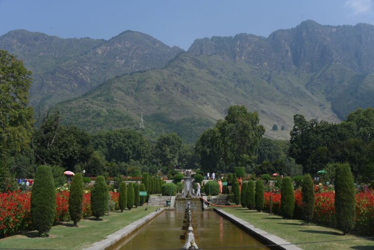Beautiful Mughal garden in Srinagar with red flowers and mountains under a clear blue sky.