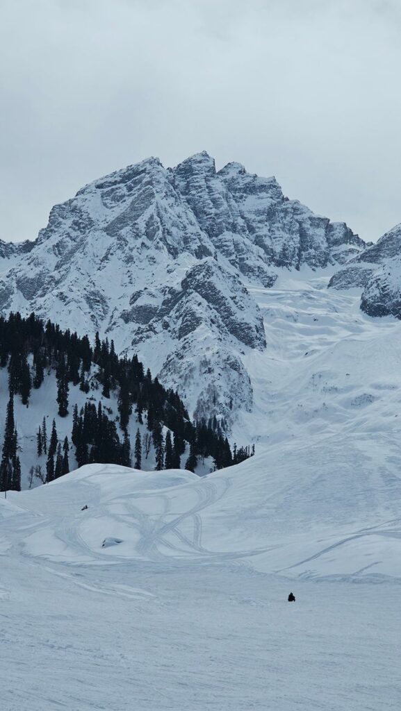 Thajiwas Glacier Trek Sonmarg