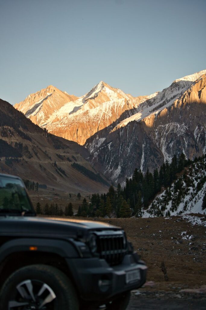 Thajiwas Glacier Trek Sonmarg