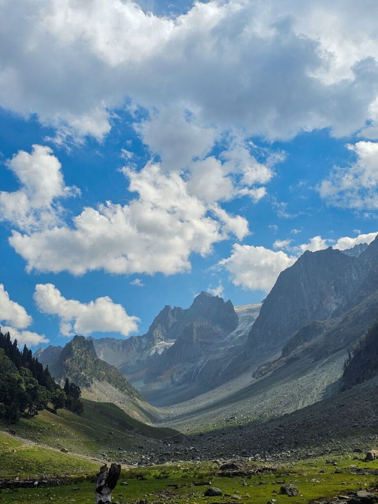 Thajiwas Glacier Trek Sonmarg