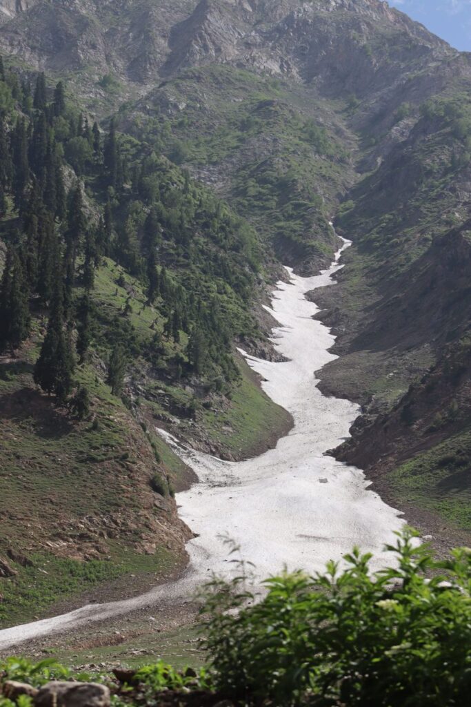 Thajiwas Glacier Trek Sonmarg