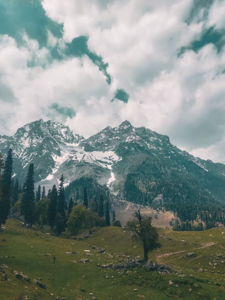 Thajiwas Glacier Trek Sonmarg