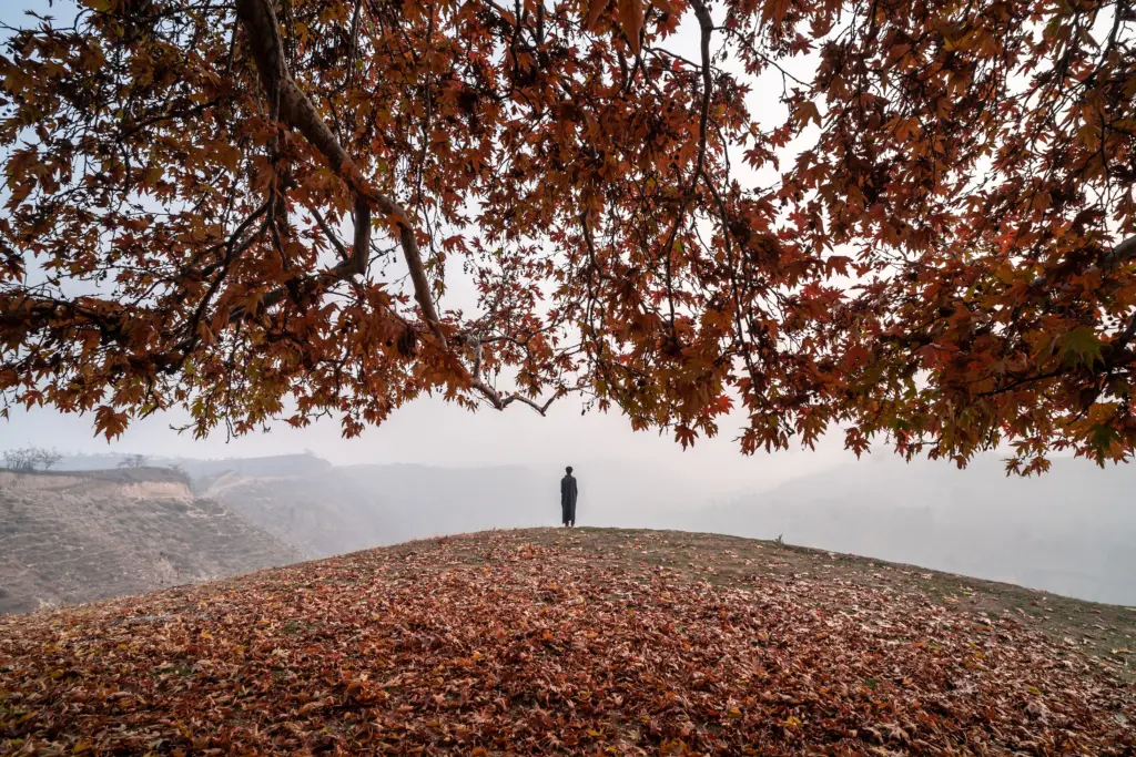Kashmir Taxi Service | Book Cab Online – Srinagar, Gulmarg, Pahalgam 54 autumn