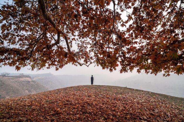 Best Autumn Day Trips from Srinagar by Taxi: Chinars, Saffron, Daksum & Kokernag