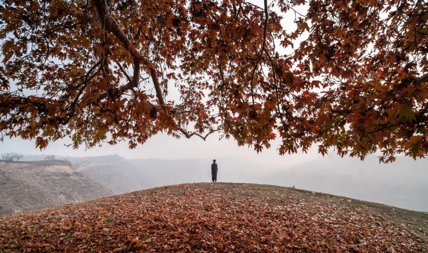 Best Autumn Day Trips from Srinagar by Taxi: Chinars, Saffron, Daksum & Kokernag 3 Best Autumn Day Trips from Srinagar by Taxi: Chinars, Saffron, Daksum & Kokernag