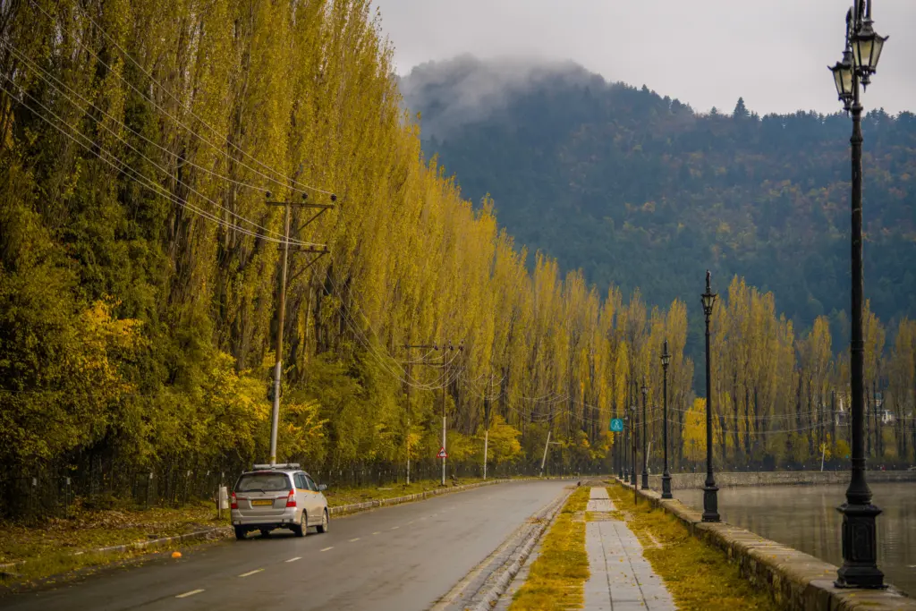 Kashmir Taxi Service | Book Cab Online – Srinagar, Gulmarg, Pahalgam 52 Kashmir Early Autumn Photography Tour