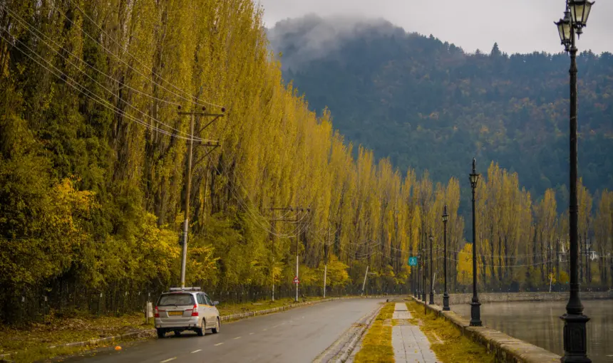Kashmir Early Autumn Photography Tour: Chinar Color Timing, Sunrise Spots & Taxi Plan 1 Kashmir Early Autumn Photography Tour: Chinar Color Timing, Sunrise Spots & Taxi Plan