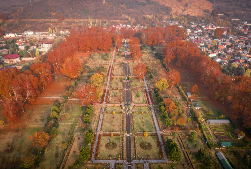 A breathtaking aerial view of the vibrant Mughal Gardens in autumn, Srinagar.
