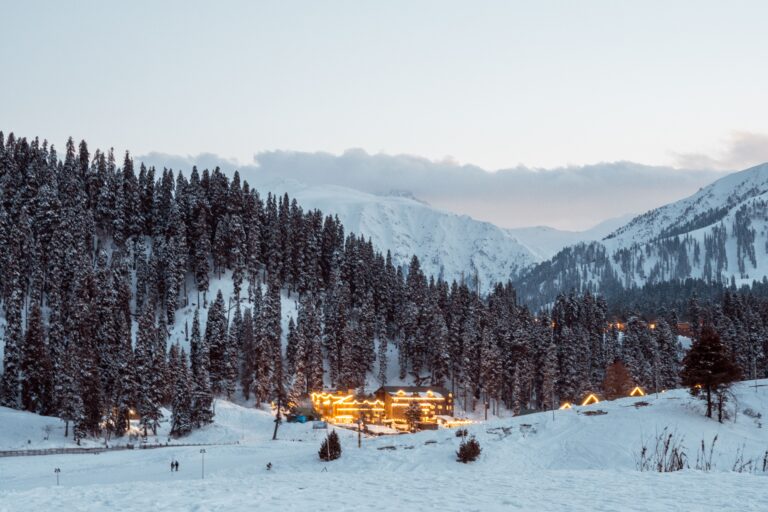 Best Time To See Snow In Kashmir