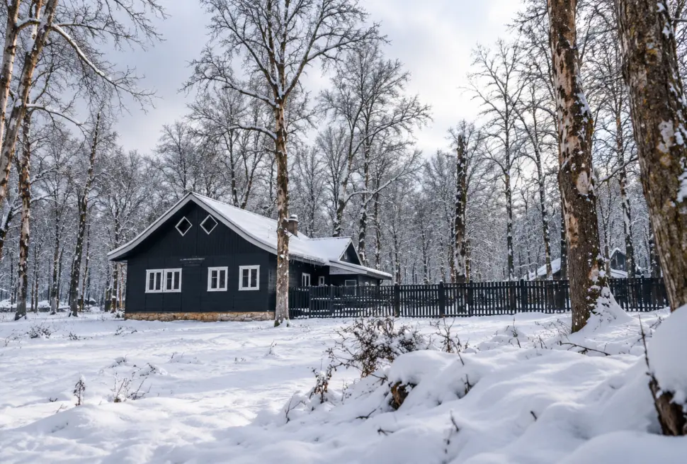 Kashmir Christmas and New Year package: snow in Gulmarg and a Dal Lake houseboat