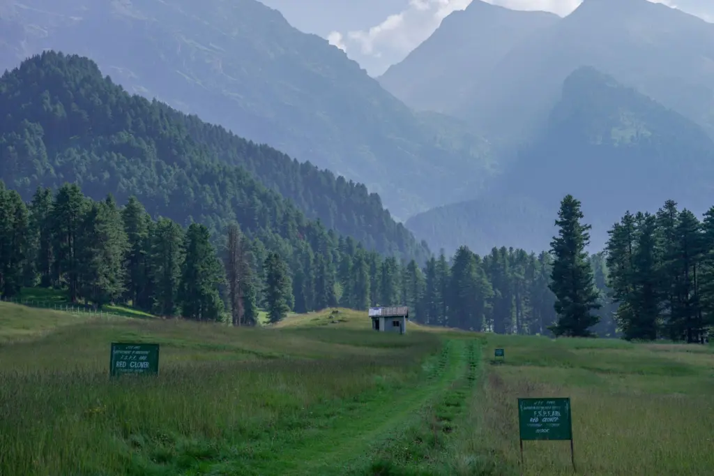 Baisaran Valley (Mini Switzerland), Pahalgam, Kashmir – photo 2