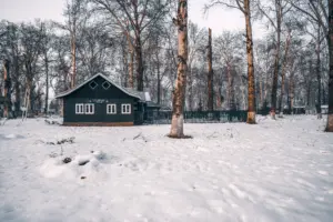 Kashmir Christmas and New Year package: snow in Gulmarg and a Dal Lake houseboat